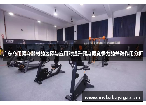 广东商用健身器材的选择与应用对提升健身房竞争力的关键作用分析