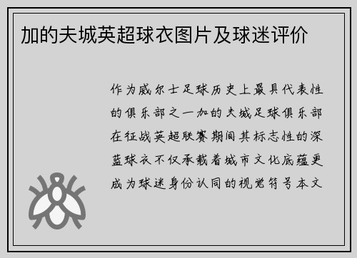 加的夫城英超球衣图片及球迷评价