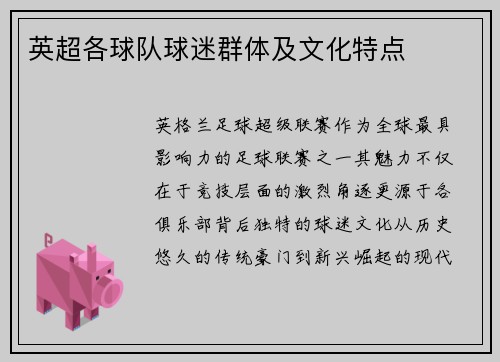 英超各球队球迷群体及文化特点