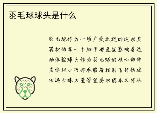 羽毛球球头是什么