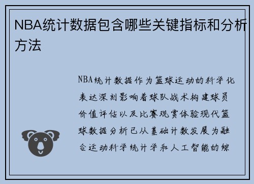 NBA统计数据包含哪些关键指标和分析方法